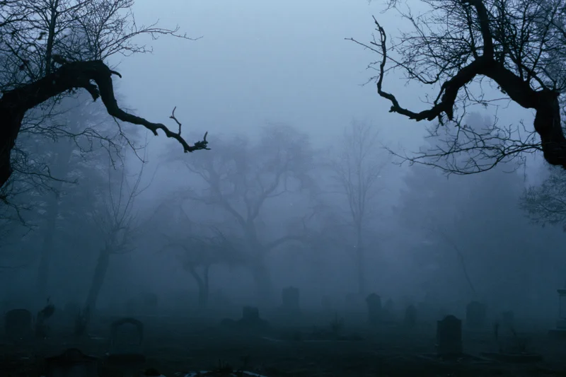 Foggy graveyard at night with silhouetted bare trees and tombstones