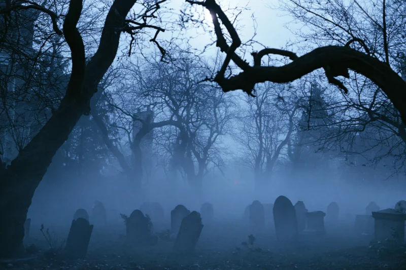 Foggy graveyard at night with silhouetted bare trees and tombstones
