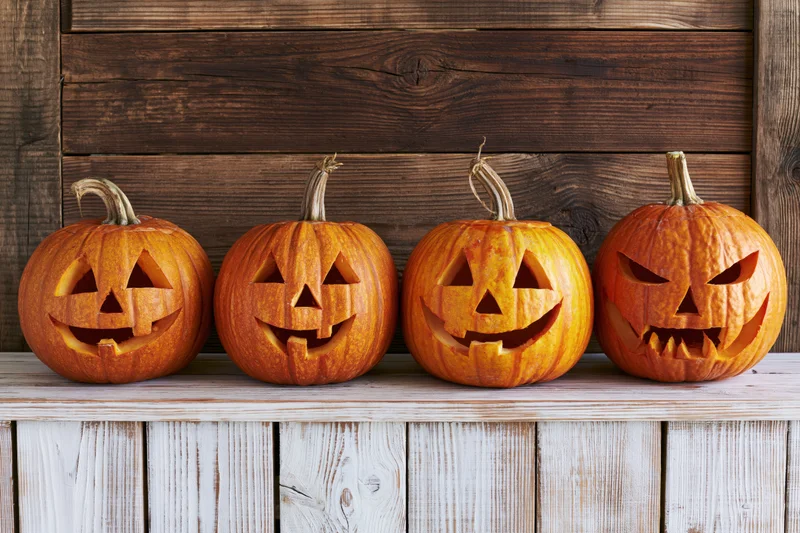 Four carved jack-o-lanterns lined up in a row on a wooden shelf against a dark wood wall