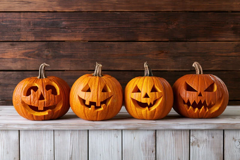 Four carved jack-o-lanterns lined up in a row on a wooden shelf against a dark wood wall