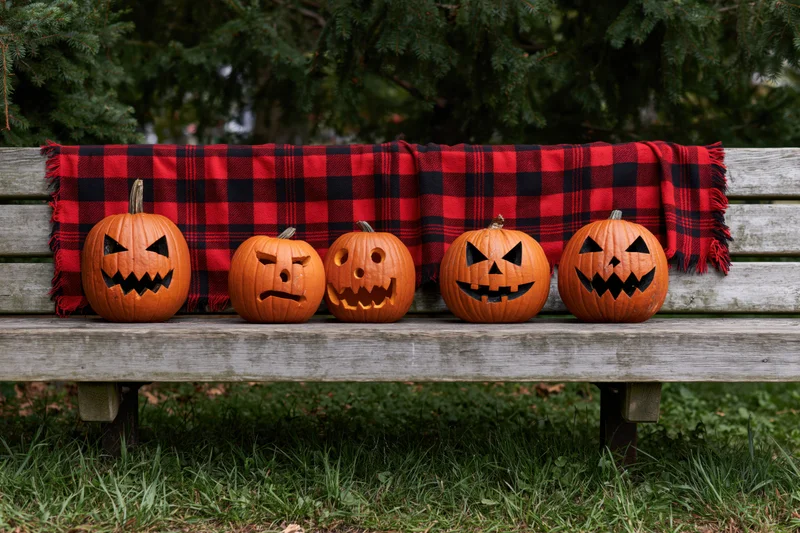 Five carved pumpkins with different faces arranged on a wooden bench outdoors with a red and black plaid scarf draped behind them