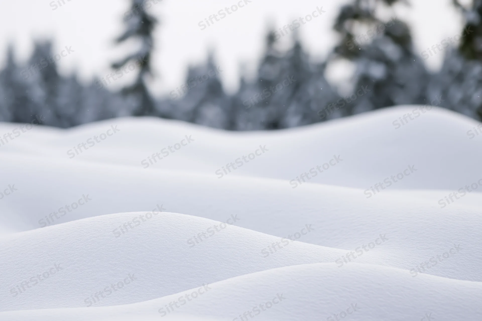 Soft rolling snow drifts in a winter forest landscape