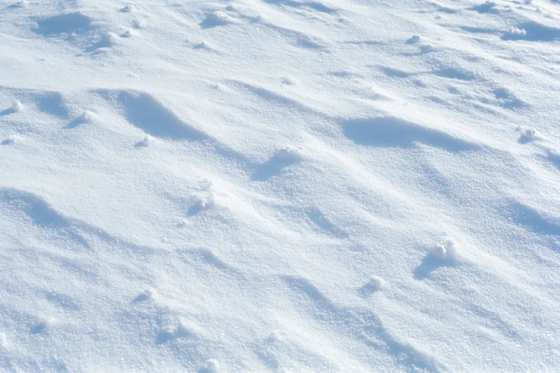 Closeup of fresh undisturbed snow surface covering the ground