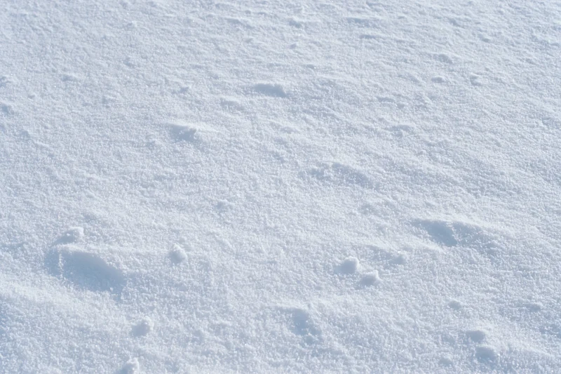 Close-up of undisturbed snow surface covering the ground in winter daylight