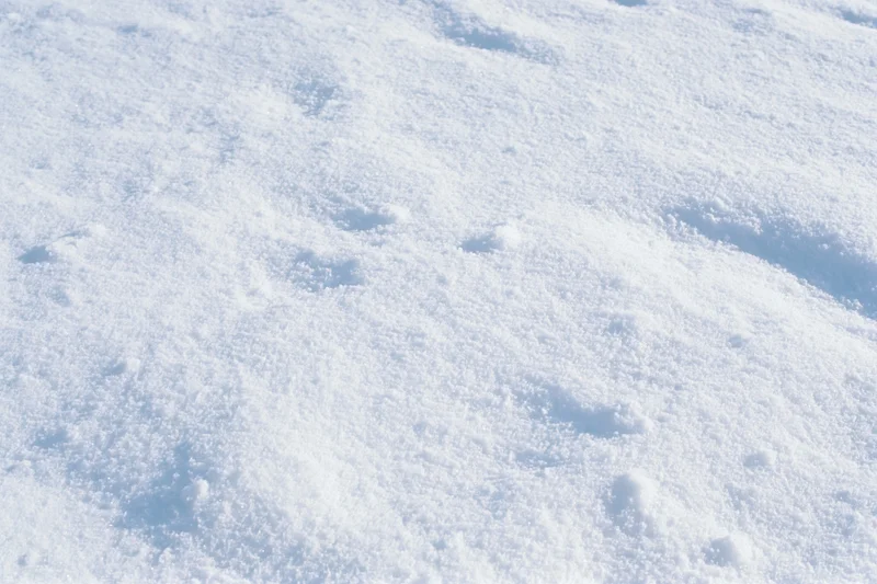 Close-up of undisturbed snow surface covering the ground in winter