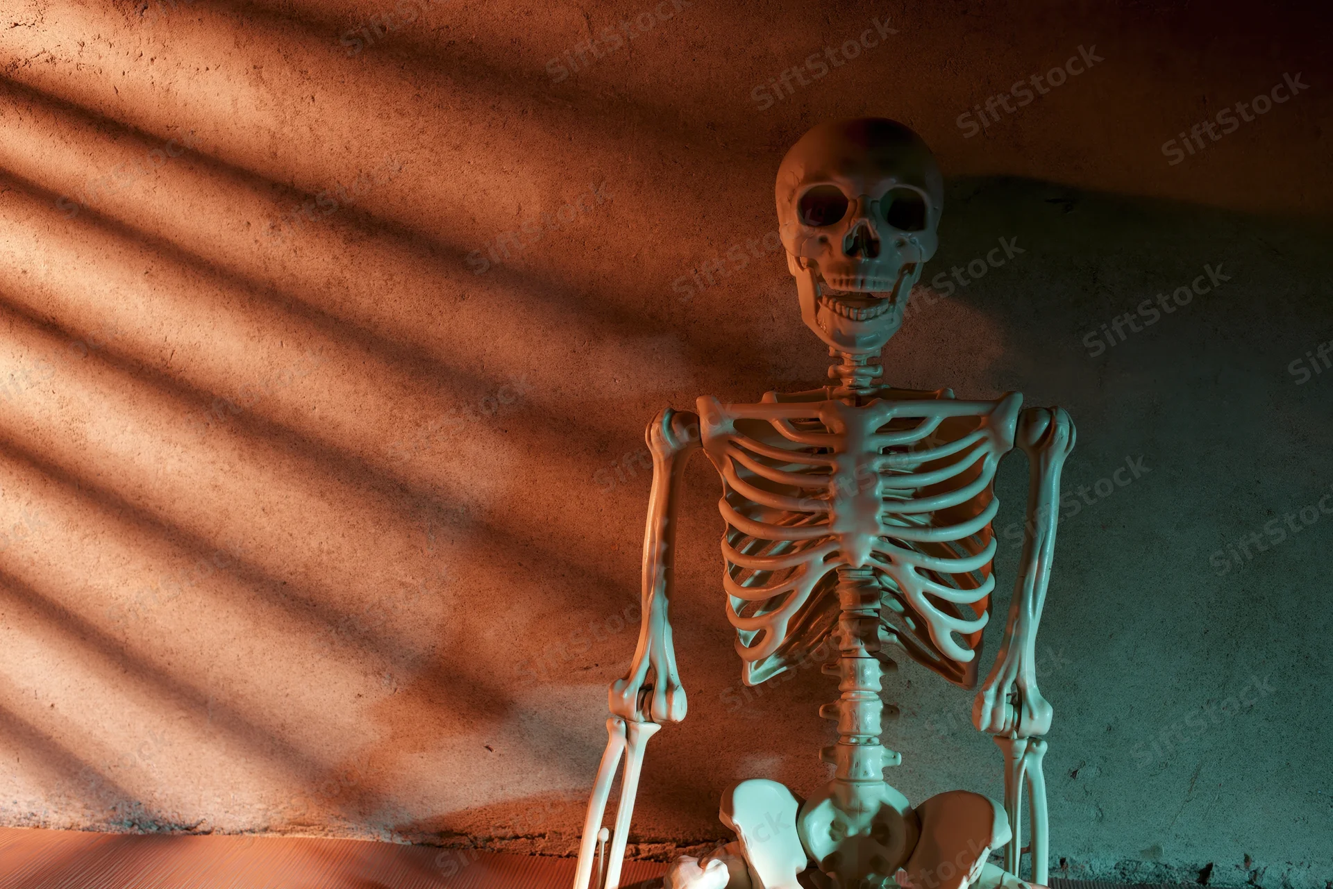 Anatomical skeleton model seated upright against a concrete wall with striped shadows