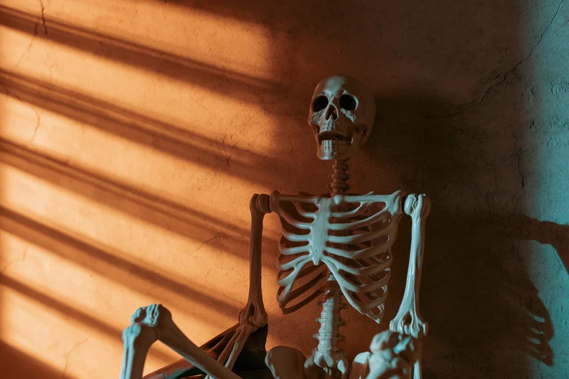 Anatomical skeleton model seated upright against a textured concrete wall with striped light and shadow