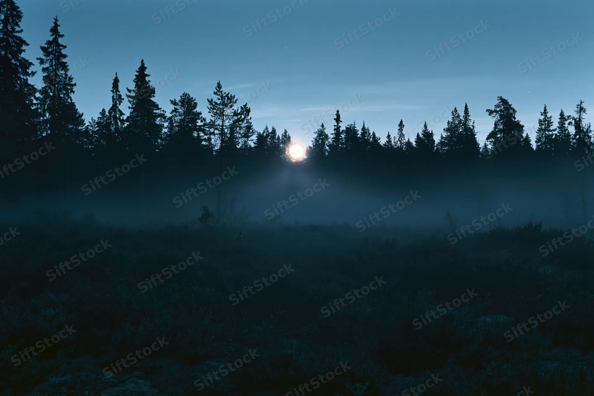 Full moon glowing behind a misty tree line at the edge of a dark forest