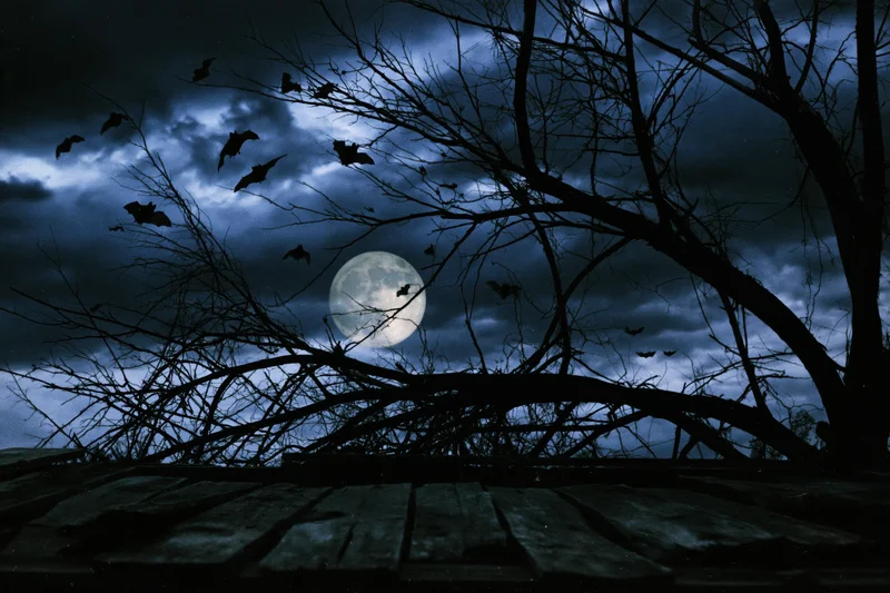 Full moon glowing behind silhouetted bare tree branches with bats flying in dark cloudy sky above wooden deck