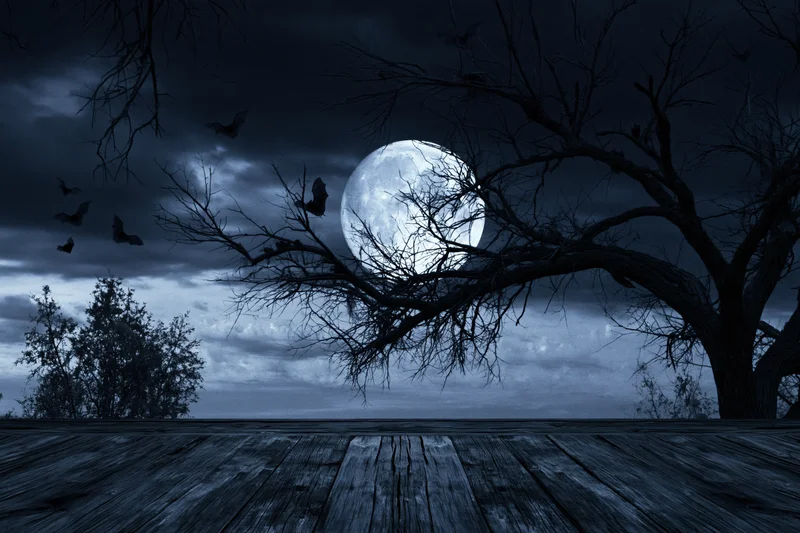 Full moon glowing behind silhouetted bare tree branches over wooden deck at night
