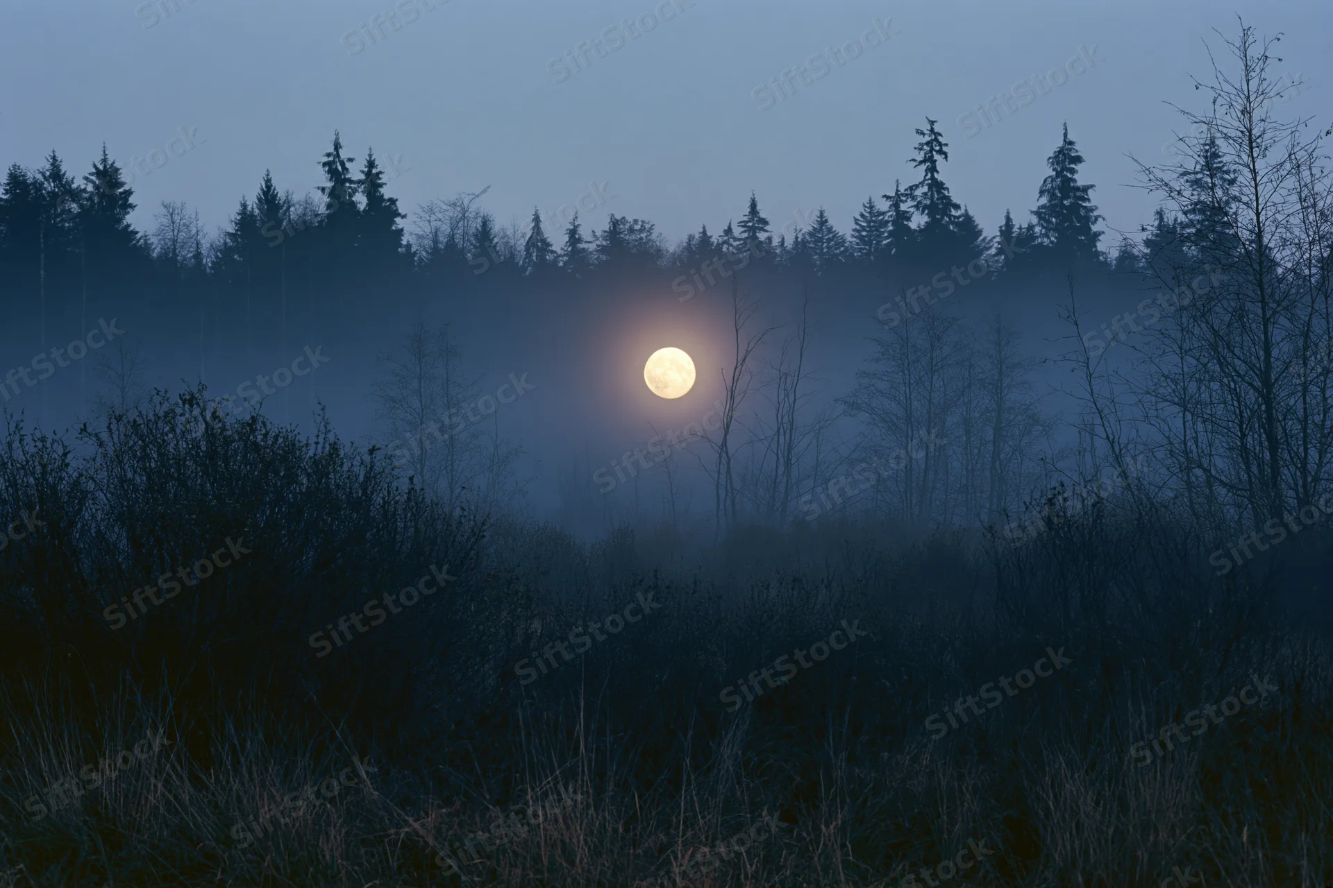Full moon glowing through dense fog above dark forest treeline at night