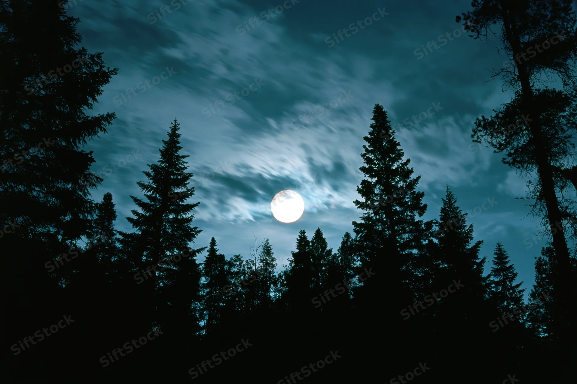 Full moon glowing through wispy clouds above a dark forest silhouette at night