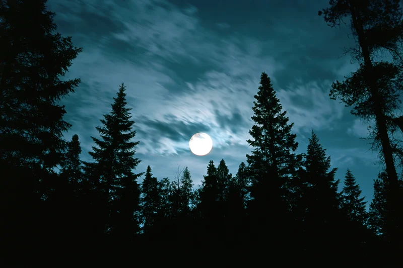 Full moon glowing through wispy clouds above a dark forest silhouette at night