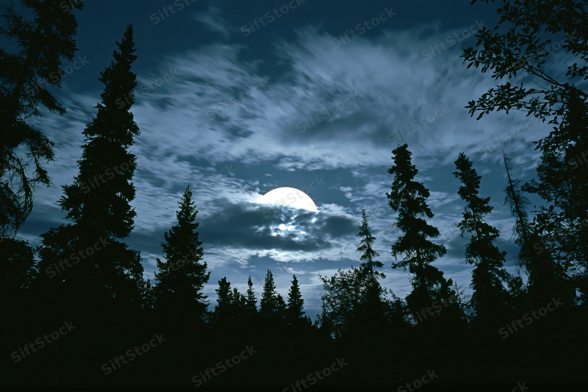 Full moon partially hidden by wispy clouds above a dark forest silhouette