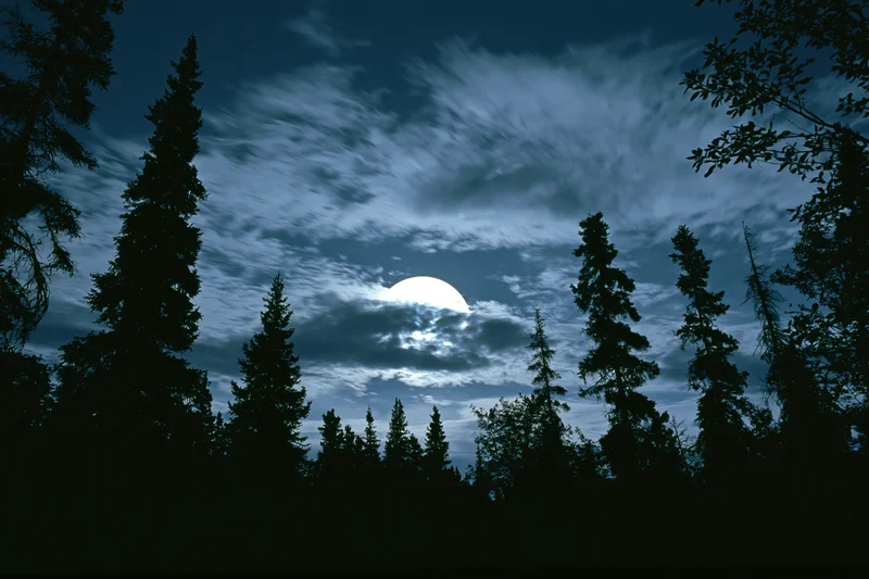 Full moon partially hidden by wispy clouds above a dark forest silhouette