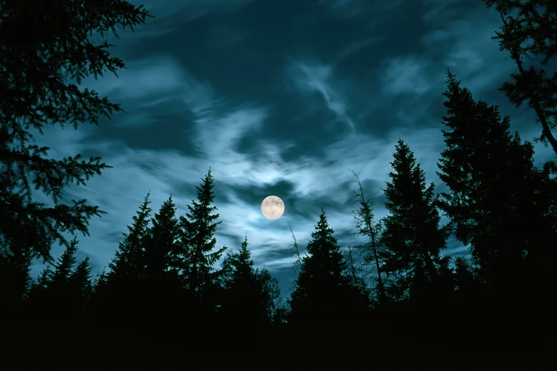 Full moon glowing through wispy clouds above a dark forest silhouette at night