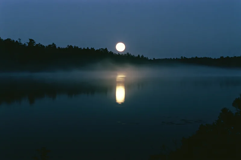 Full moon rising over still lake at night with mist and tree silhouettes