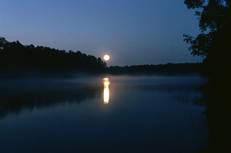 Full moon rising over still lake at night with reflection on water and misty forest silhouette