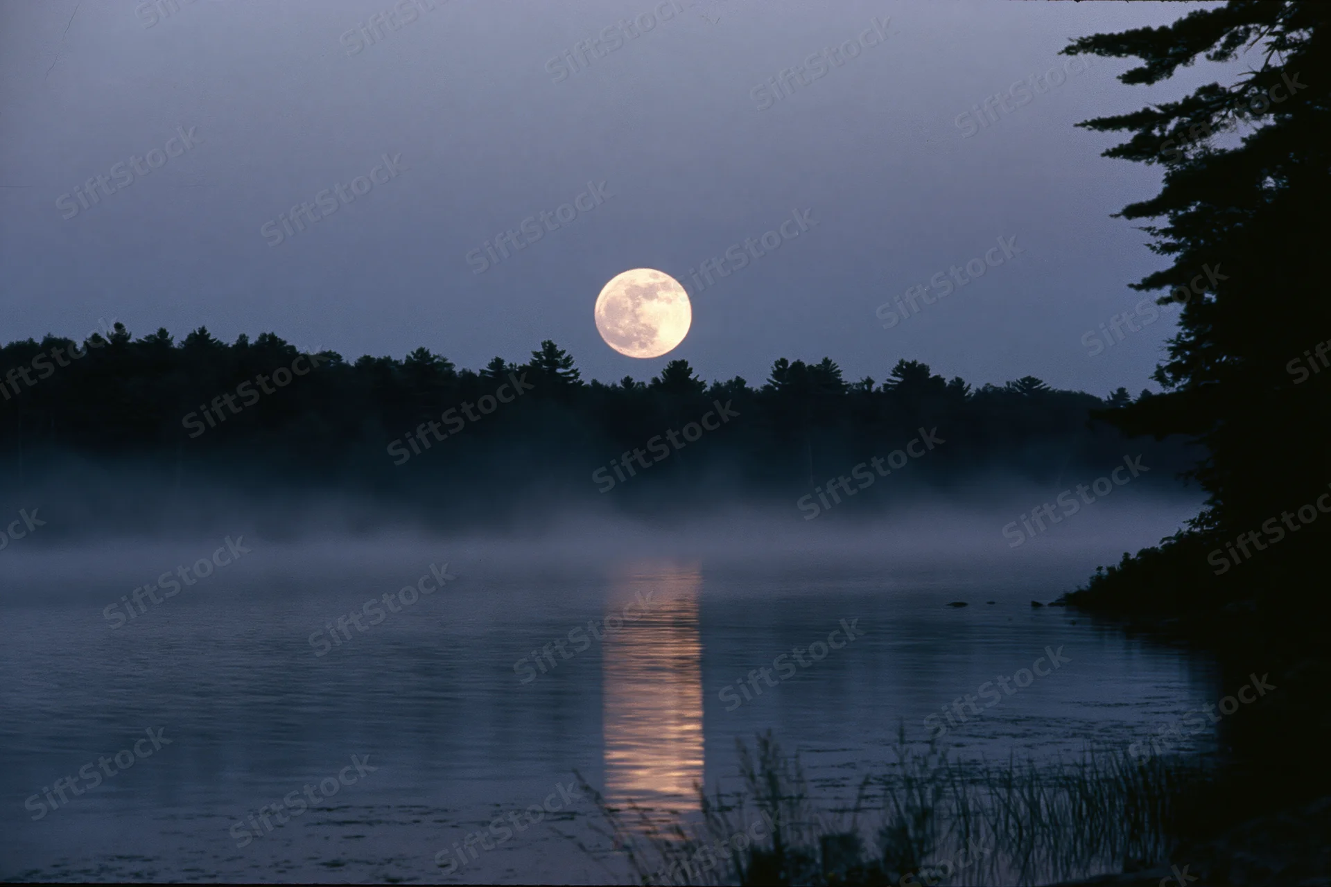 Full moon rising over still lake at night with mist and tree silhouettes