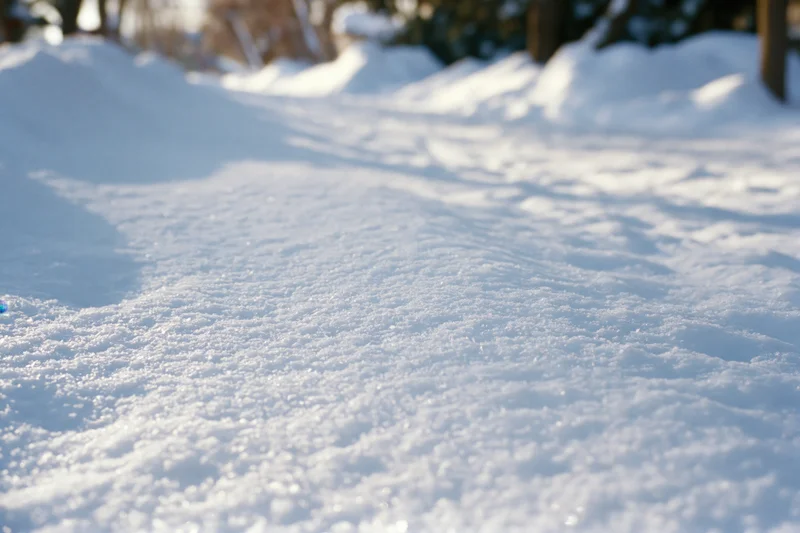 Closeup of fresh snow surface with granular texture in a forested area during winter daytime