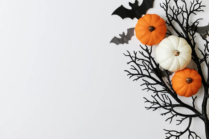 Halloween flat lay with pumpkins, bats, and black branches on white background