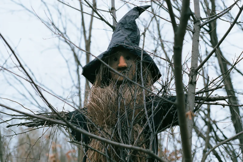 Handmade scarecrow with carved wooden face and pointed black hat nestled among bare tree branches in a rural woodland setting