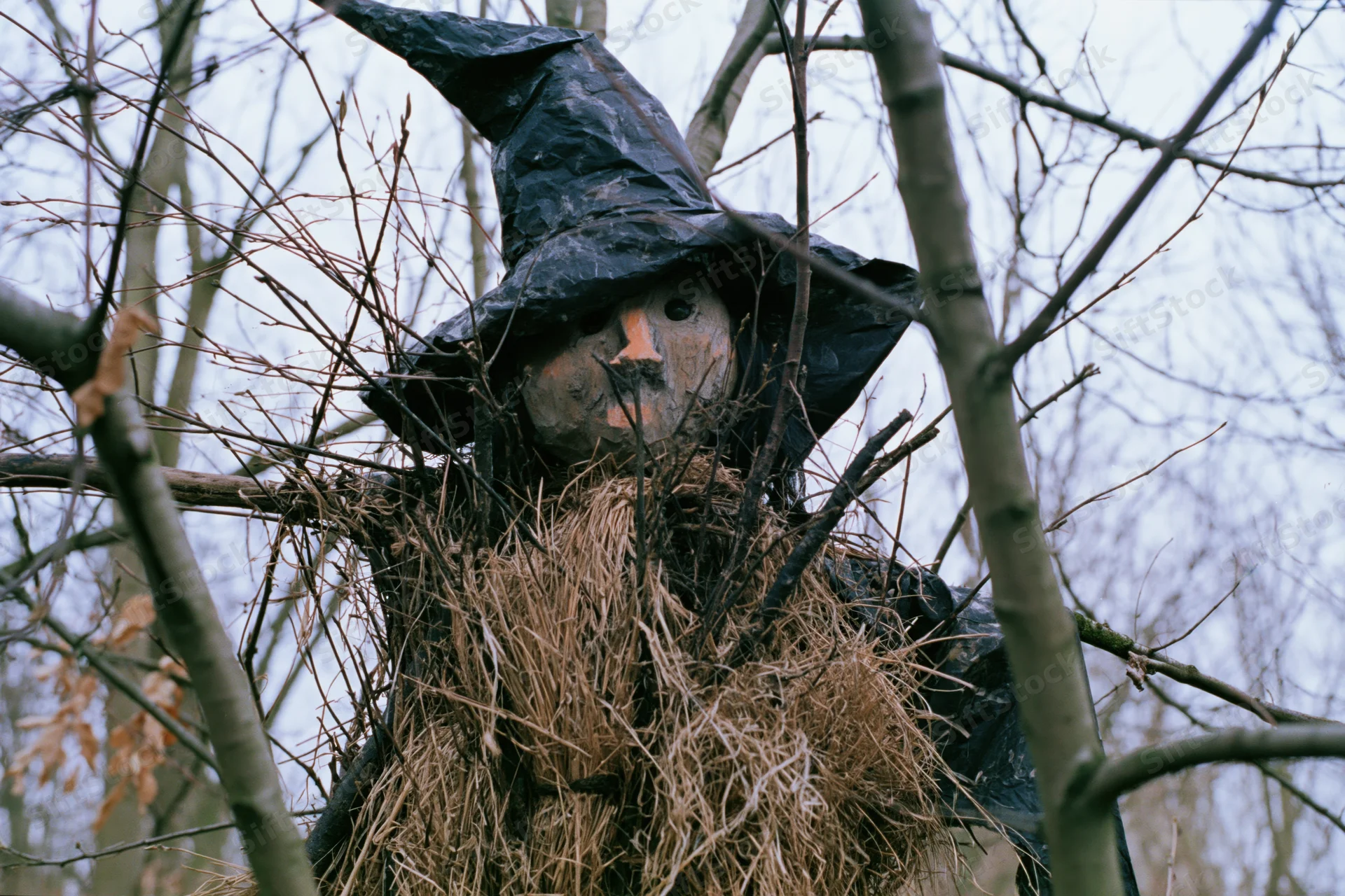Handmade scarecrow with carved wooden face and black pointed hat nestled among bare tree branches in a rural outdoor setting