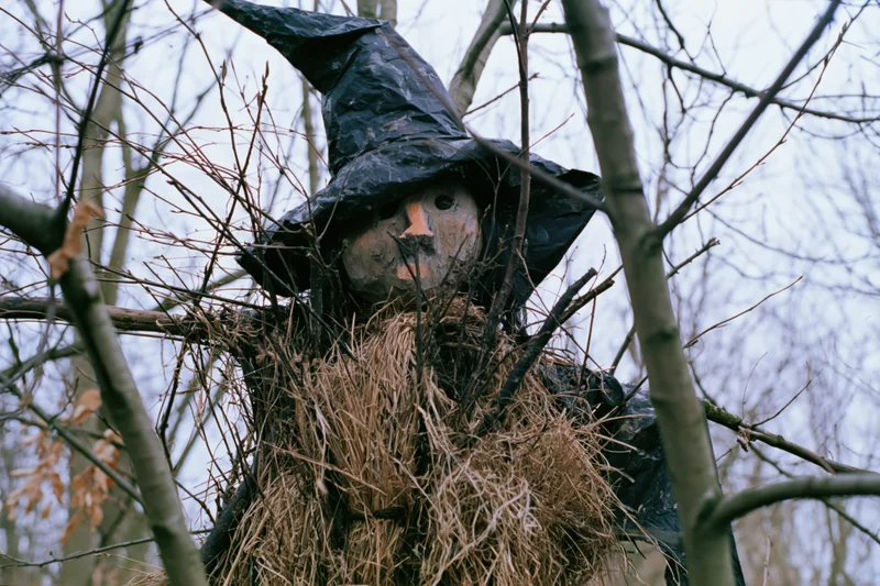 Handmade scarecrow with carved wooden face and black pointed hat nestled among bare tree branches in a rural outdoor setting