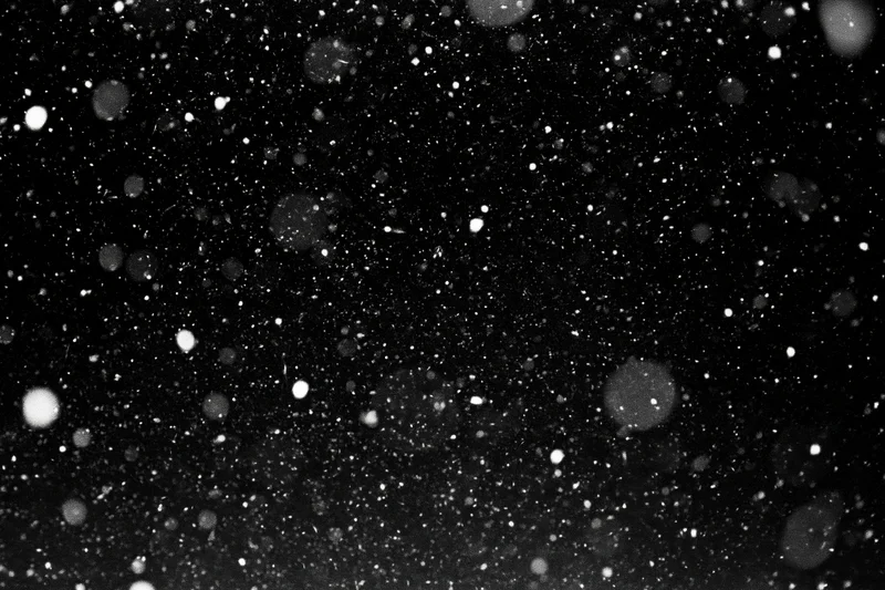 Snowflakes falling against a black night sky