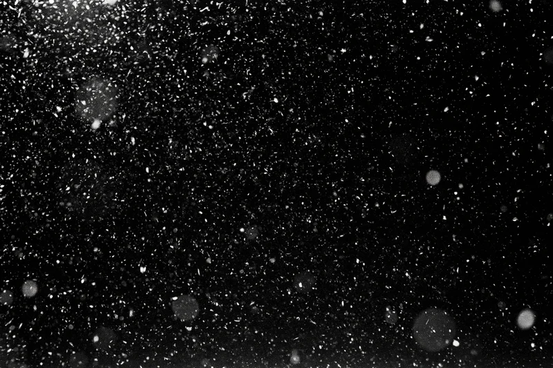 Snow falling densely against a black night sky