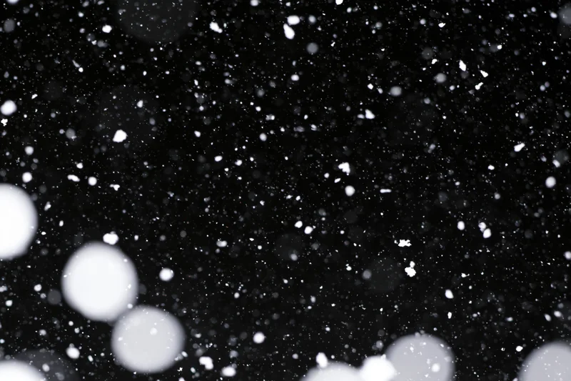Snowflakes falling against a black night sky