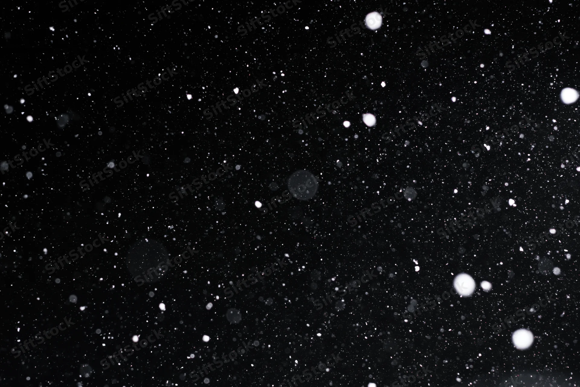 Snowflakes falling against a black night sky