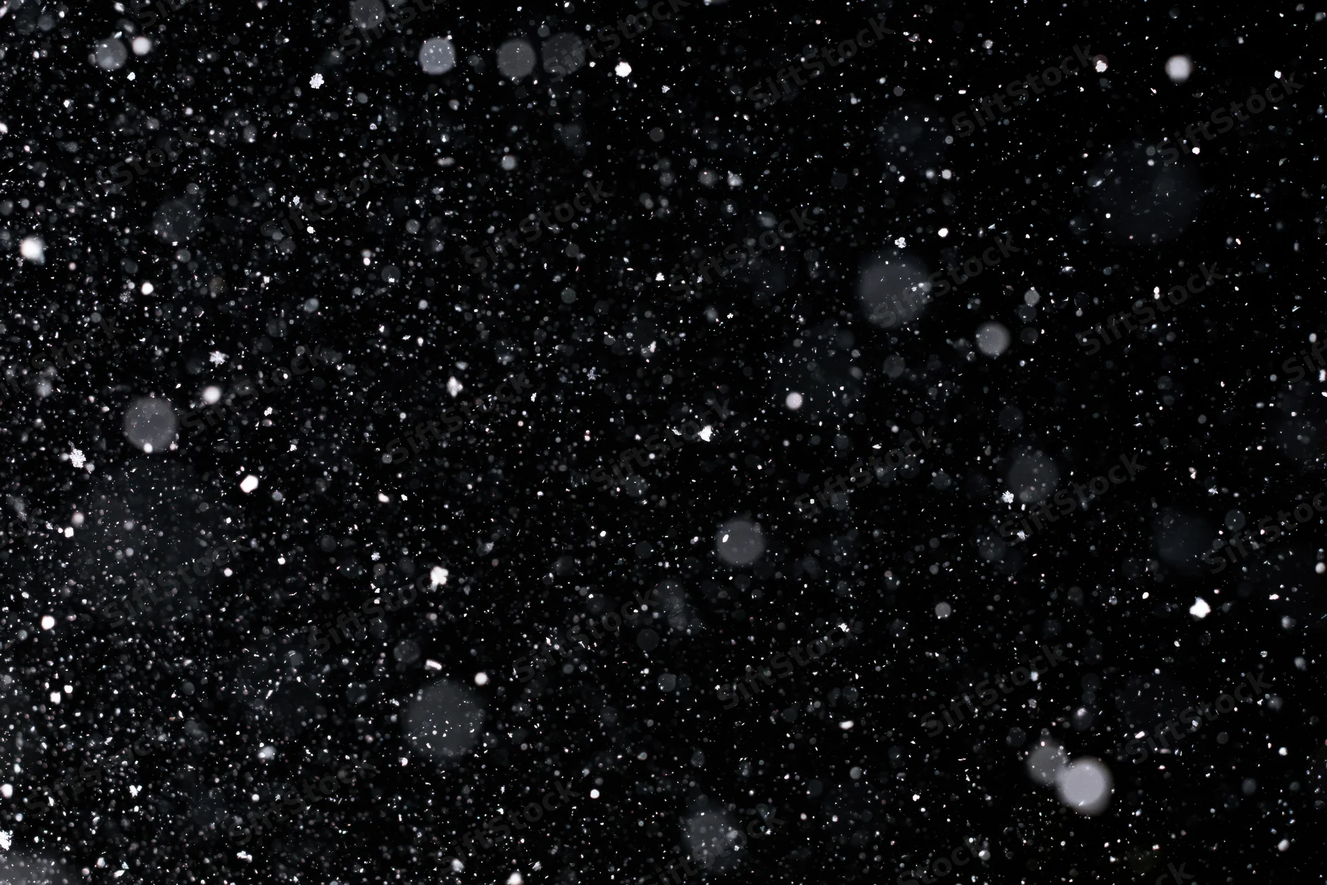 Snowflakes falling against a black night sky