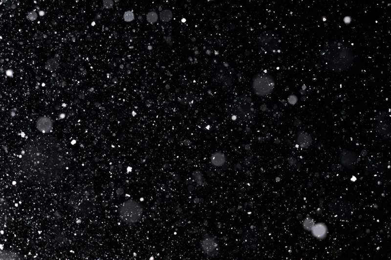 Snowflakes falling against a black night sky