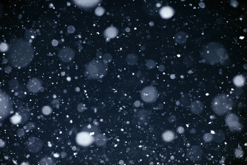 Snowflakes falling in mid-air against a dark night sky