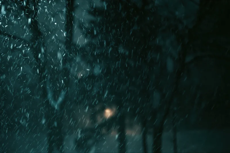 Heavy snowfall falling through dark forest trees at night