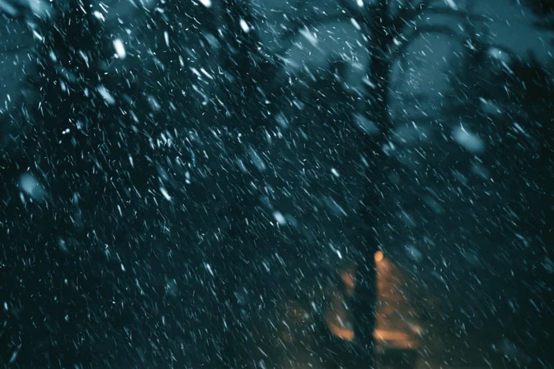 Heavy snowfall falling through dark trees at night
