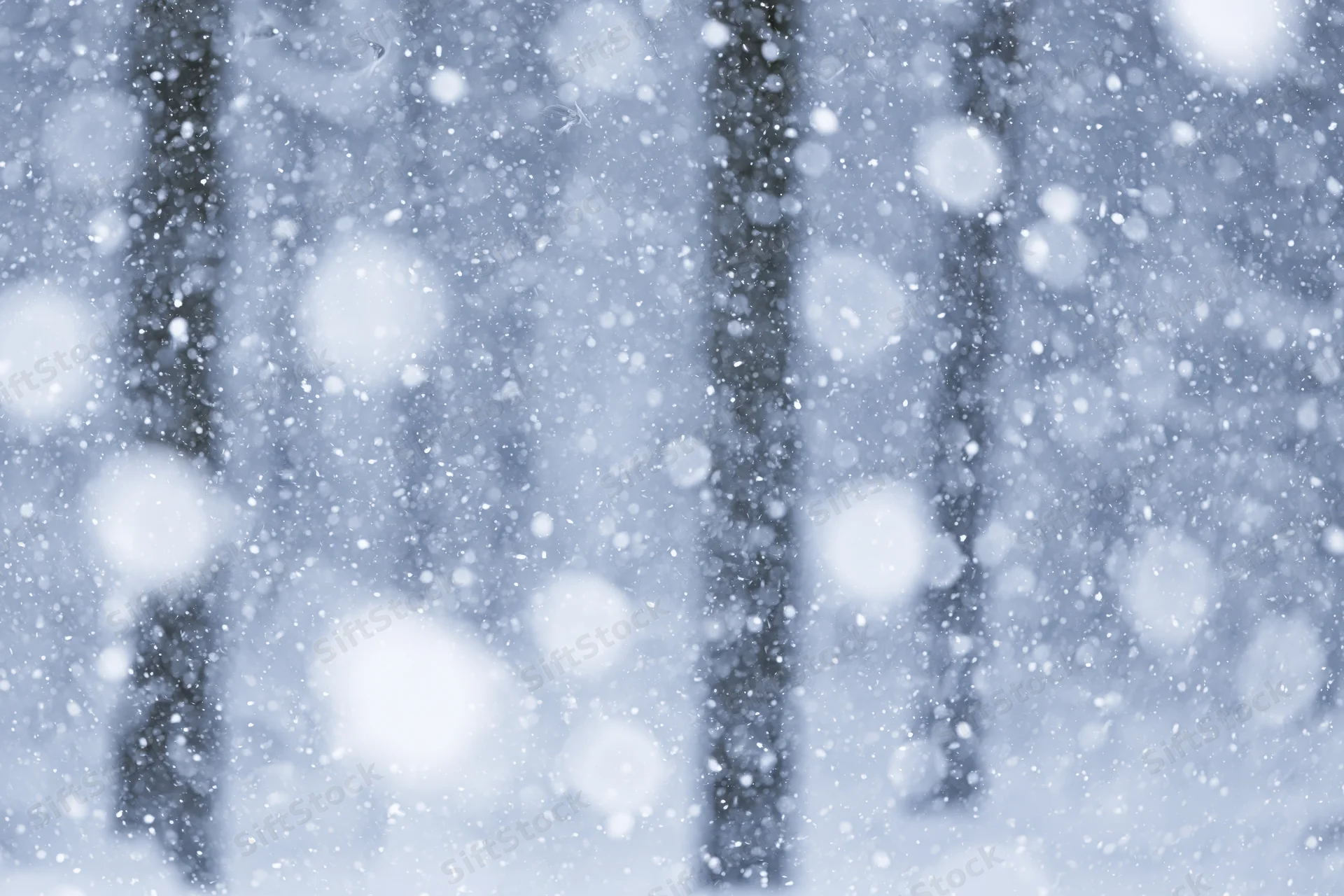 Heavy snowfall falling densely in a forest with blurred trees in the background