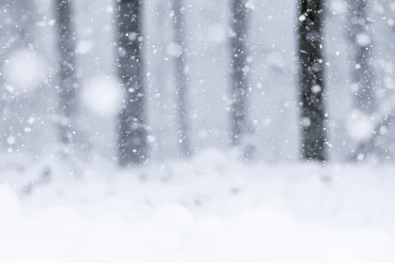 Heavy snowfall in a forest with blurred trees and snowdrifts in the foreground