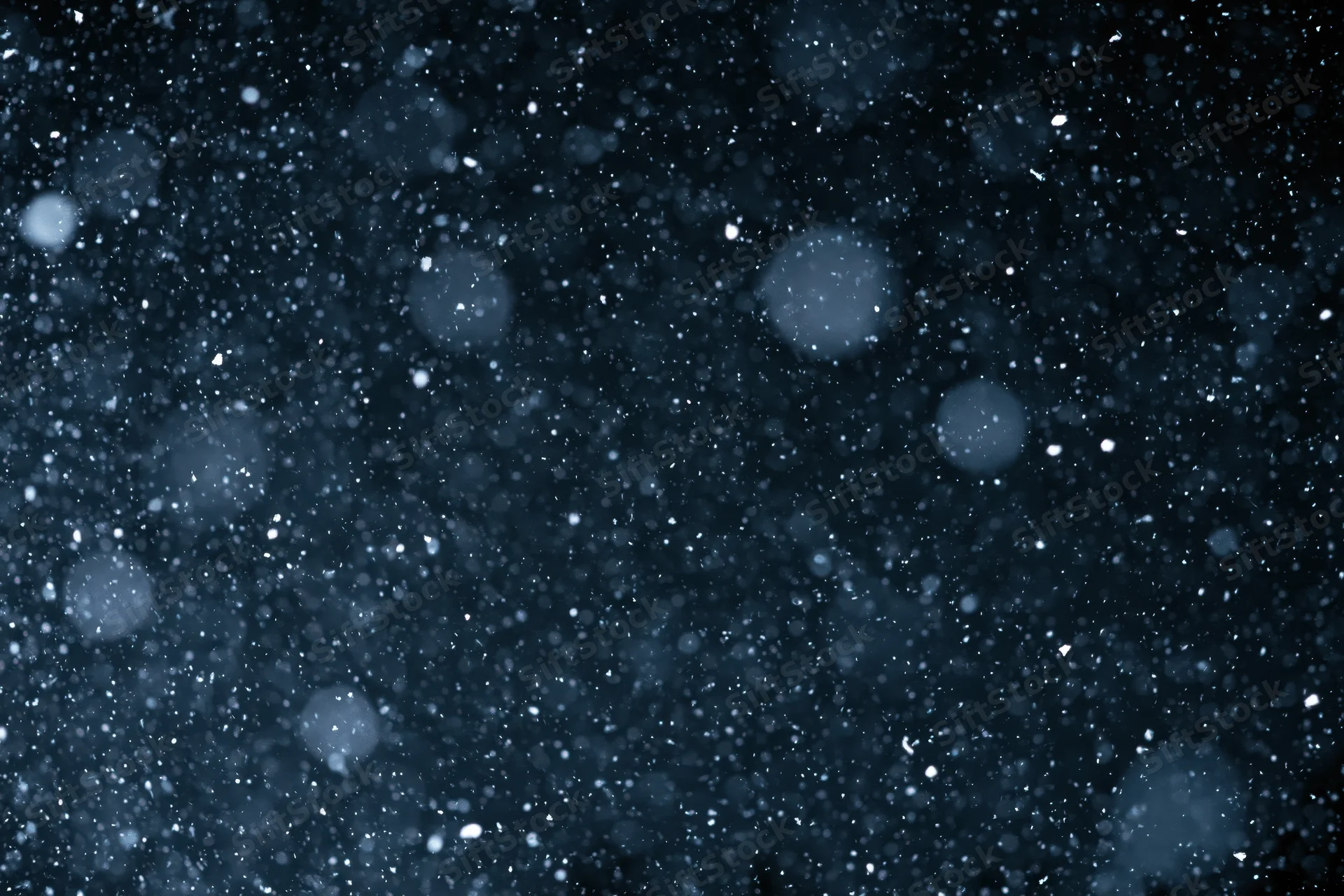 Snowflakes falling against a dark night sky