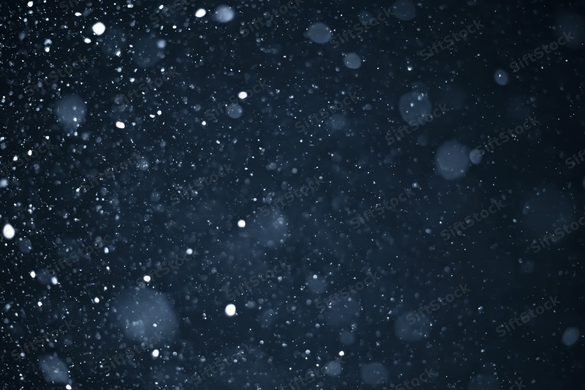 Snow falling against a dark night sky