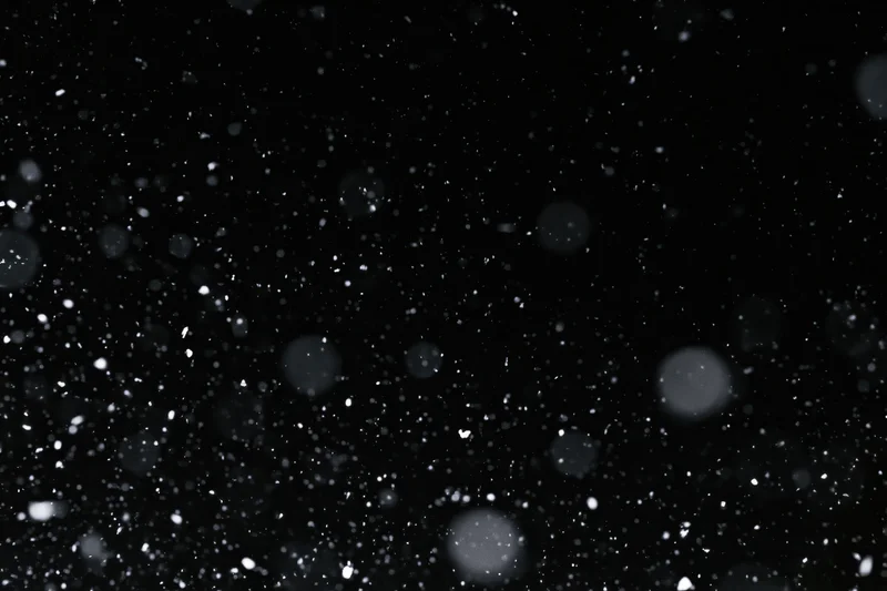 Snowflakes falling against a black night sky