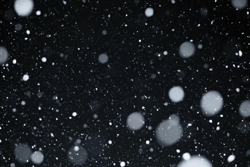 Snowflakes falling against a black night sky
