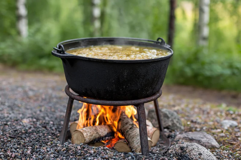 Large black cast iron cauldron boiling golden broth over a campfire in a forest clearing