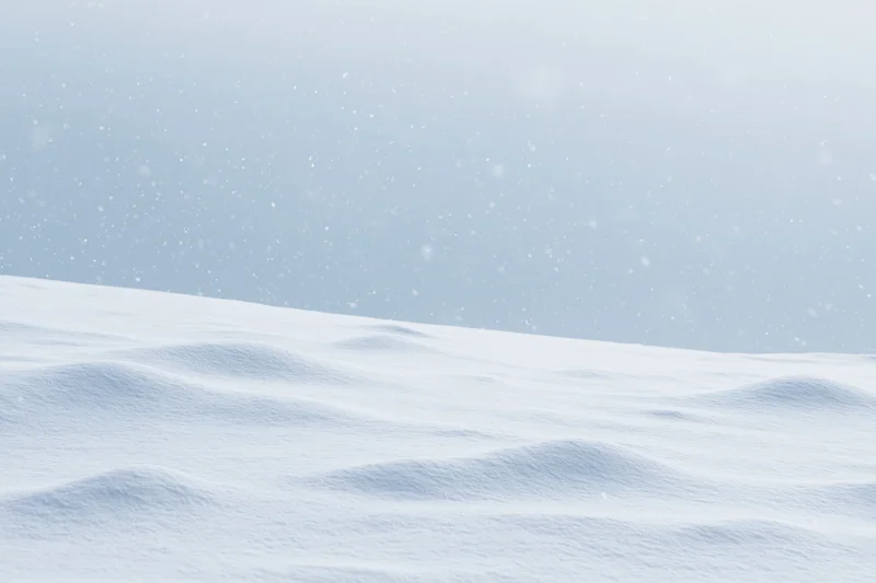 Snow-covered field under heavy snowfall with overcast sky