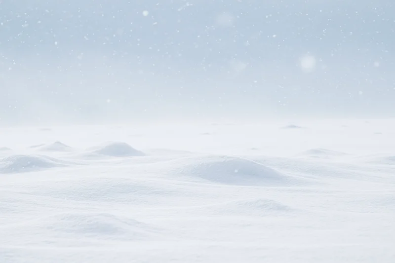 Snow-covered field under falling snow with soft undulations and overcast sky