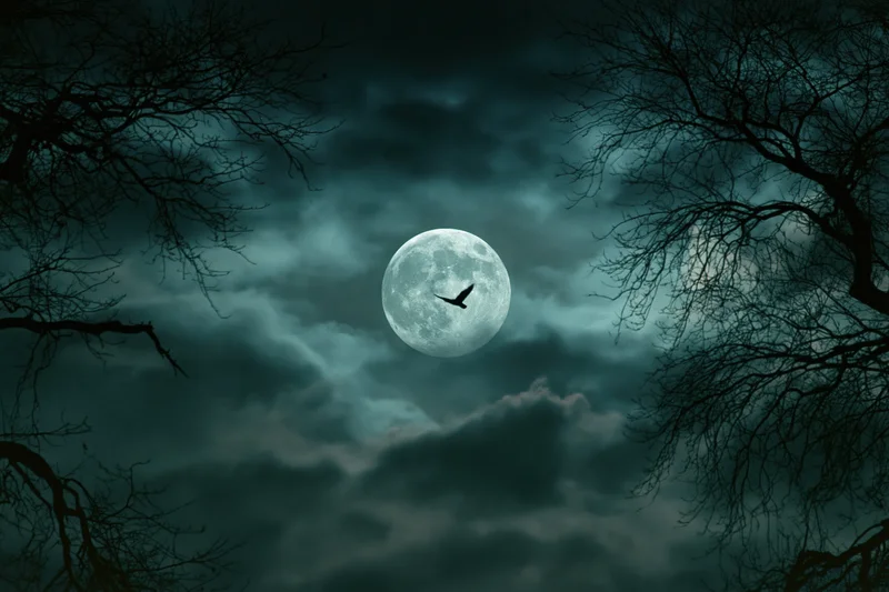Full moon glowing behind storm clouds with bare tree branches and a flying bird silhouetted against the sky
