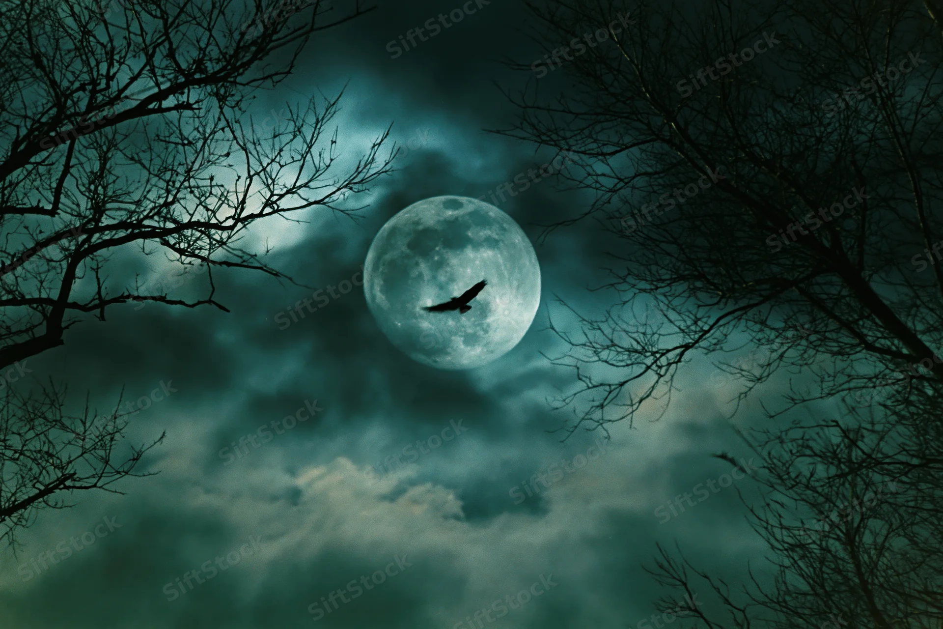 Full moon rising behind storm clouds with silhouetted trees and a flying bird in a dark night sky