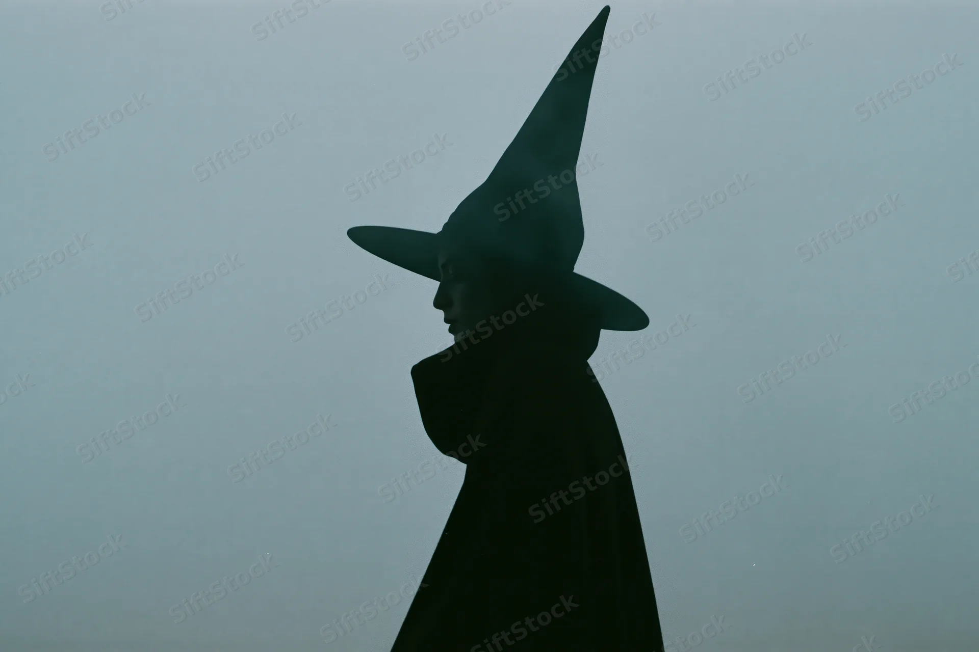 Silhouette of a woman in a pointed witch hat and dark cloak in profile against a misty background