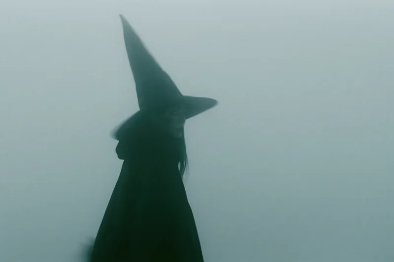 Woman in witch costume with pointed hat standing in fog, profile view